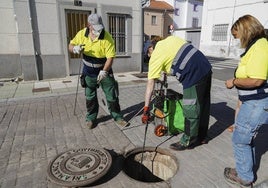 Técnicos durante el tratamiento del alcantarillado contra las cucarachas en Salamanca.