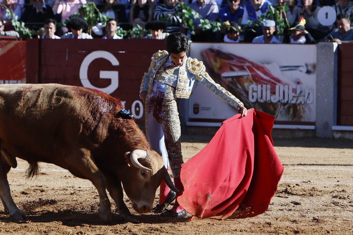 La novillada de Marco Pérez, en imágenes