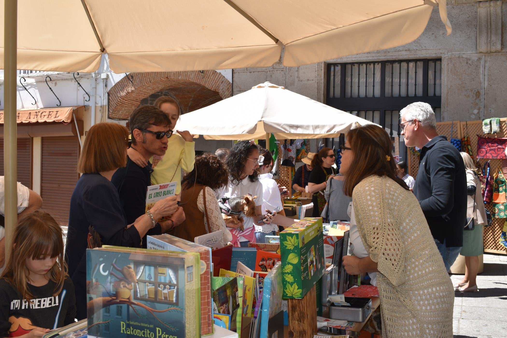 Alba de Tormes disfruta de su Feria del Libro con tintes solidarios