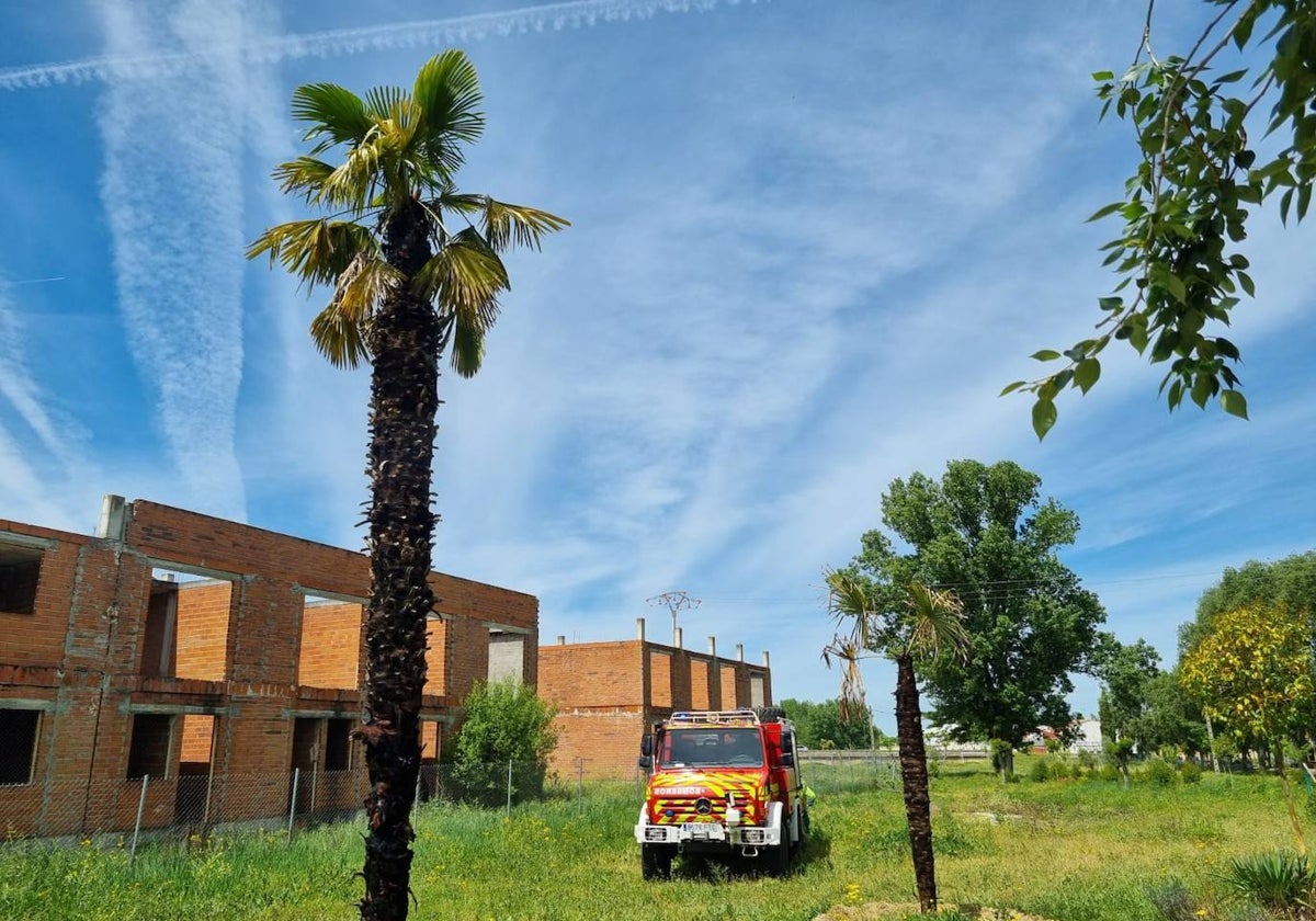 Continúa la oleada de incendios provocados en Ciudad Rodrigo