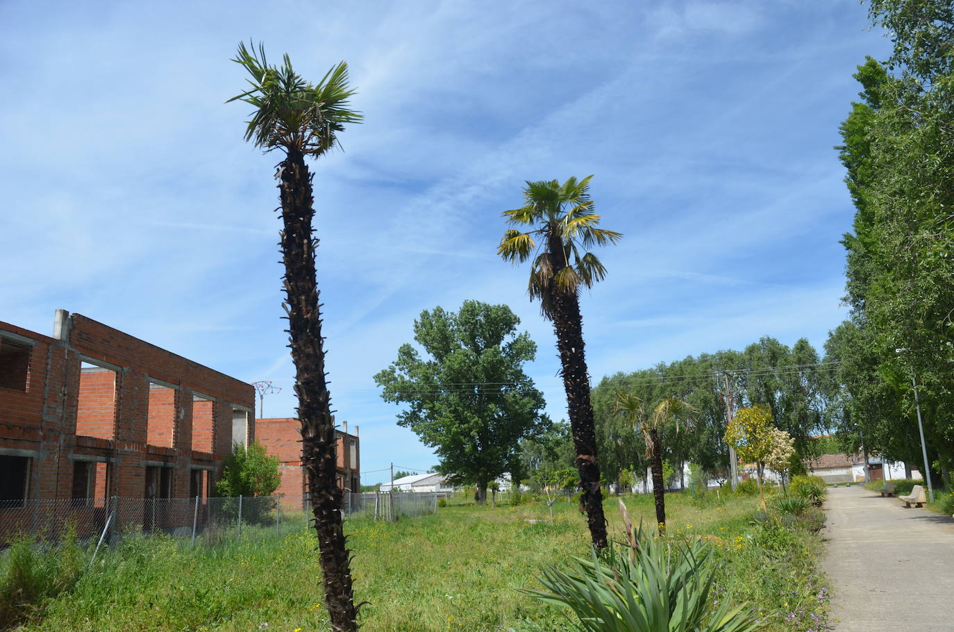 Continúa la oleada de incendios provocados en Ciudad Rodrigo