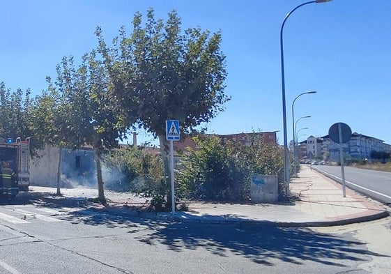 Solar a la entrada de Peñaranda que el año pasado sufrió al menos dos incendios por falta de limpieza.