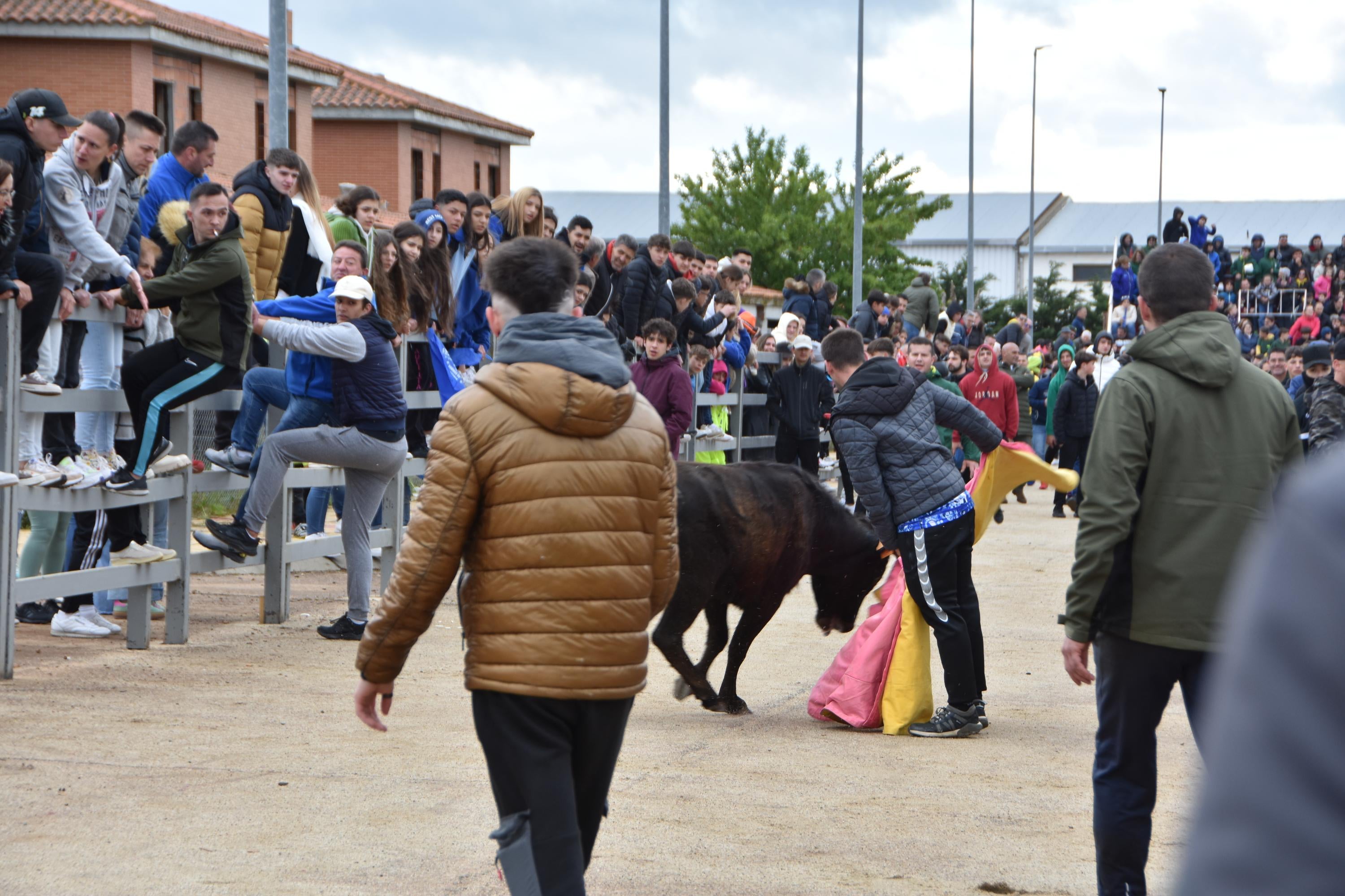 Riesgo, emoción y diversión en la suelta de vaquillas de Doñinos