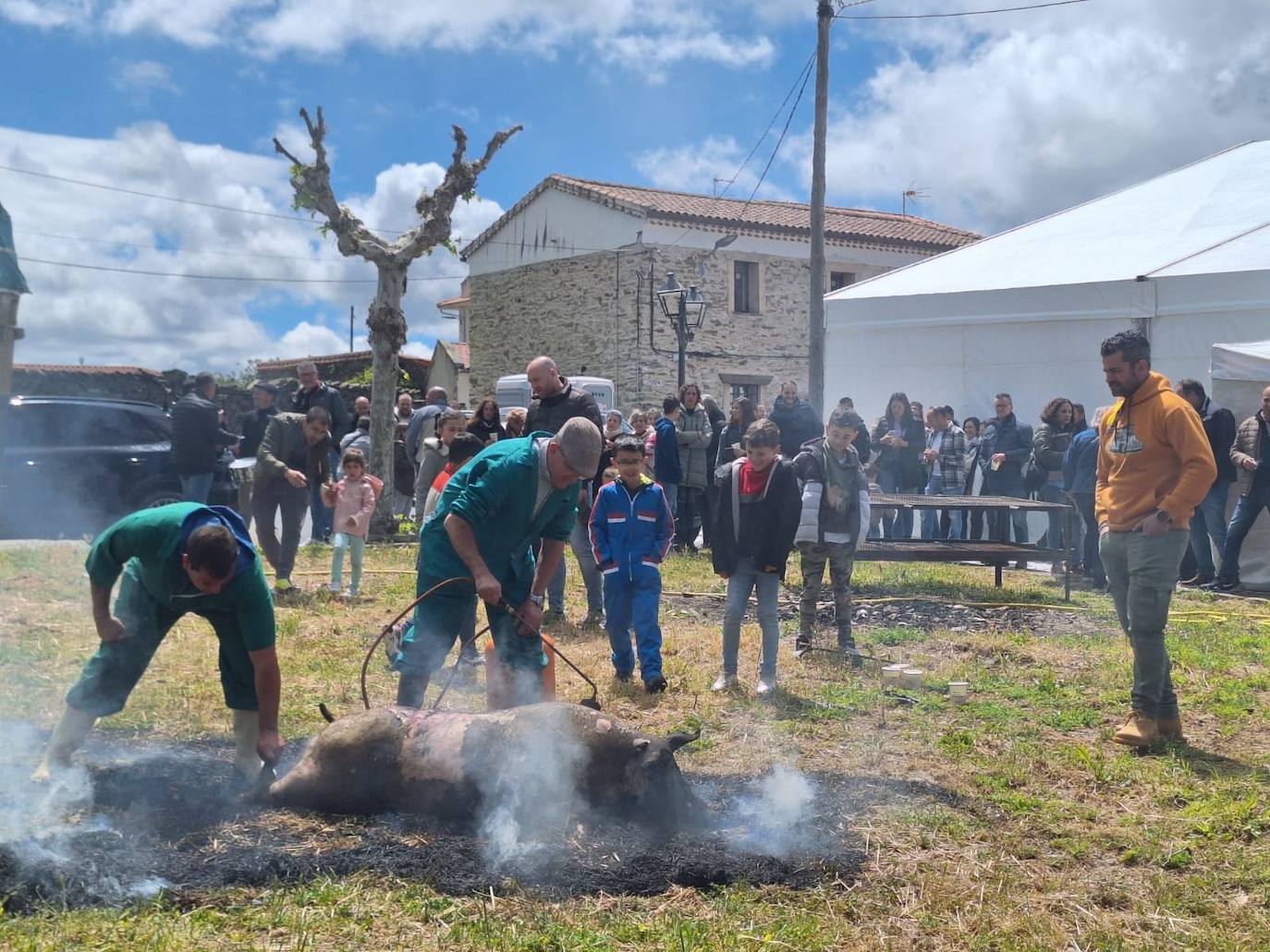 Aldeavieja de Tormes celebra una animada fiesta de la matanza