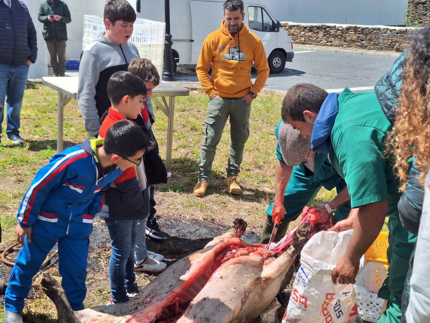 Aldeavieja de Tormes celebra una animada fiesta de la matanza