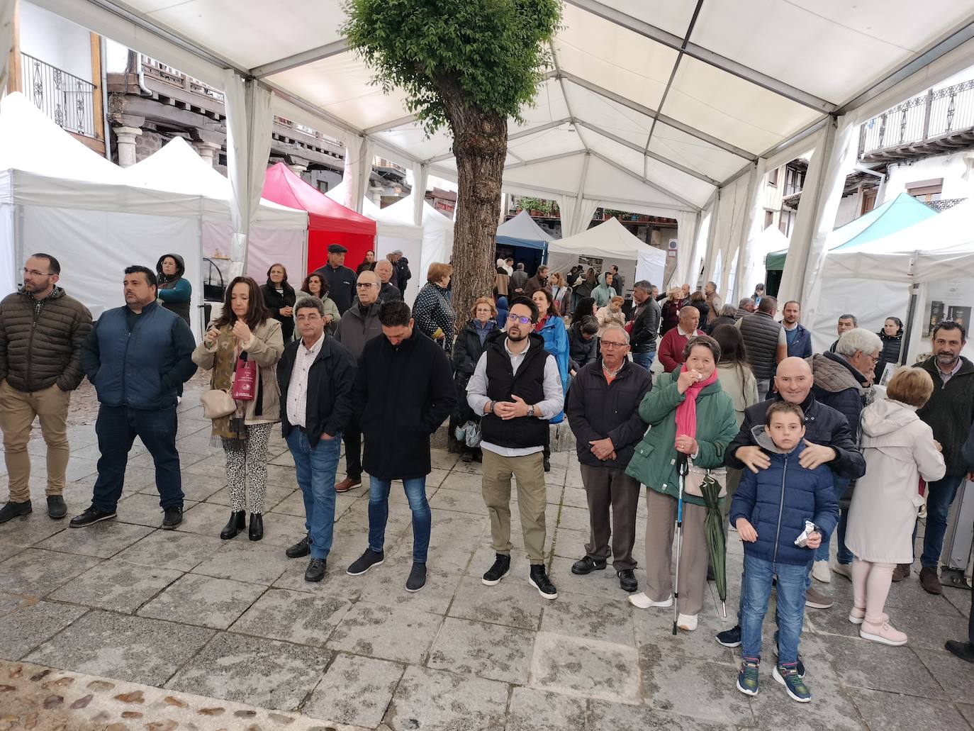 El vino se mueve en San Esteban de la Sierra