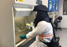 Investigador en un laboratorio con seguridad biológica salmantino.