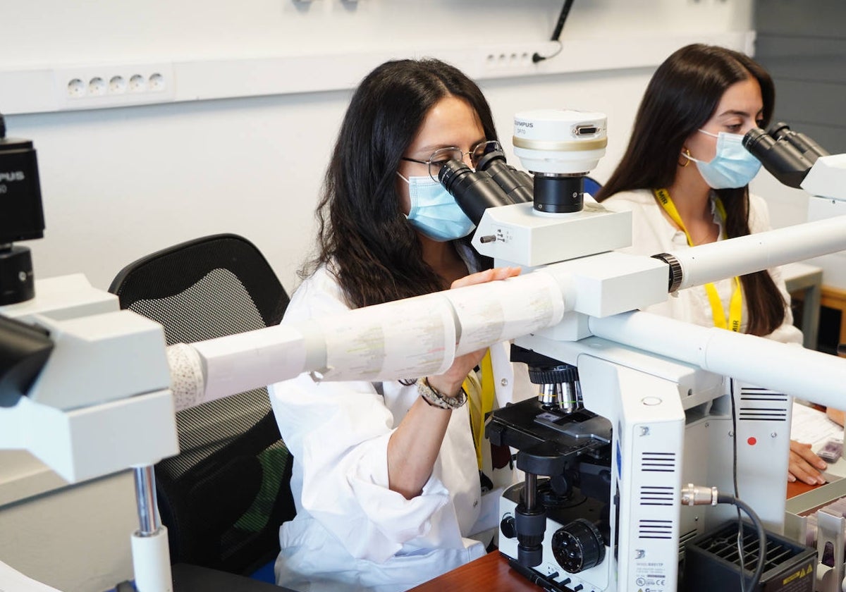 Personal de Dermatología revisa muestras en microscopios.