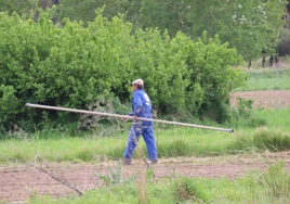 Un agricultor coloca uno de los tubos de riego.