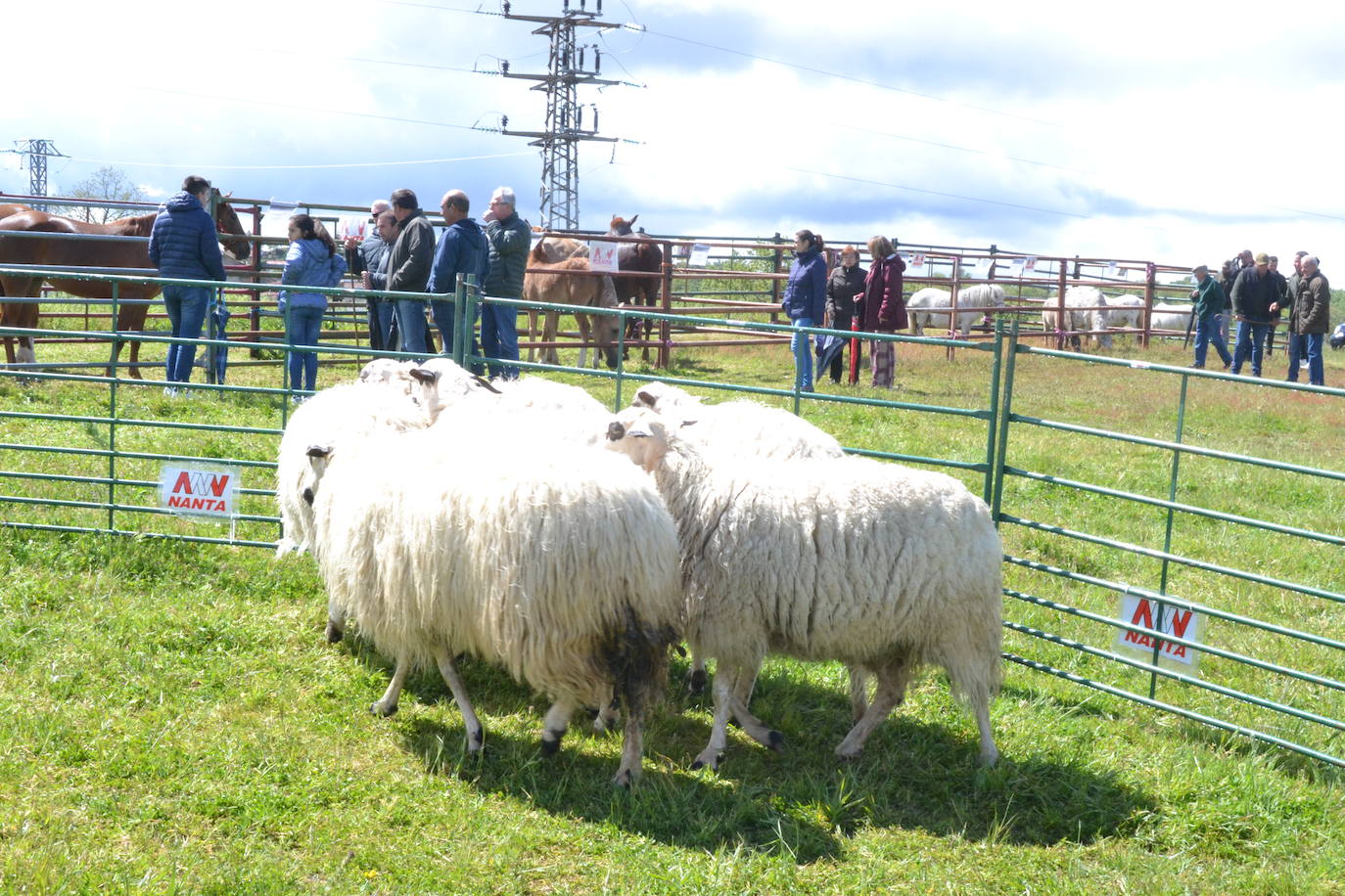 La Feria de San Felipe se impone a la lluvia en Barruecopardo