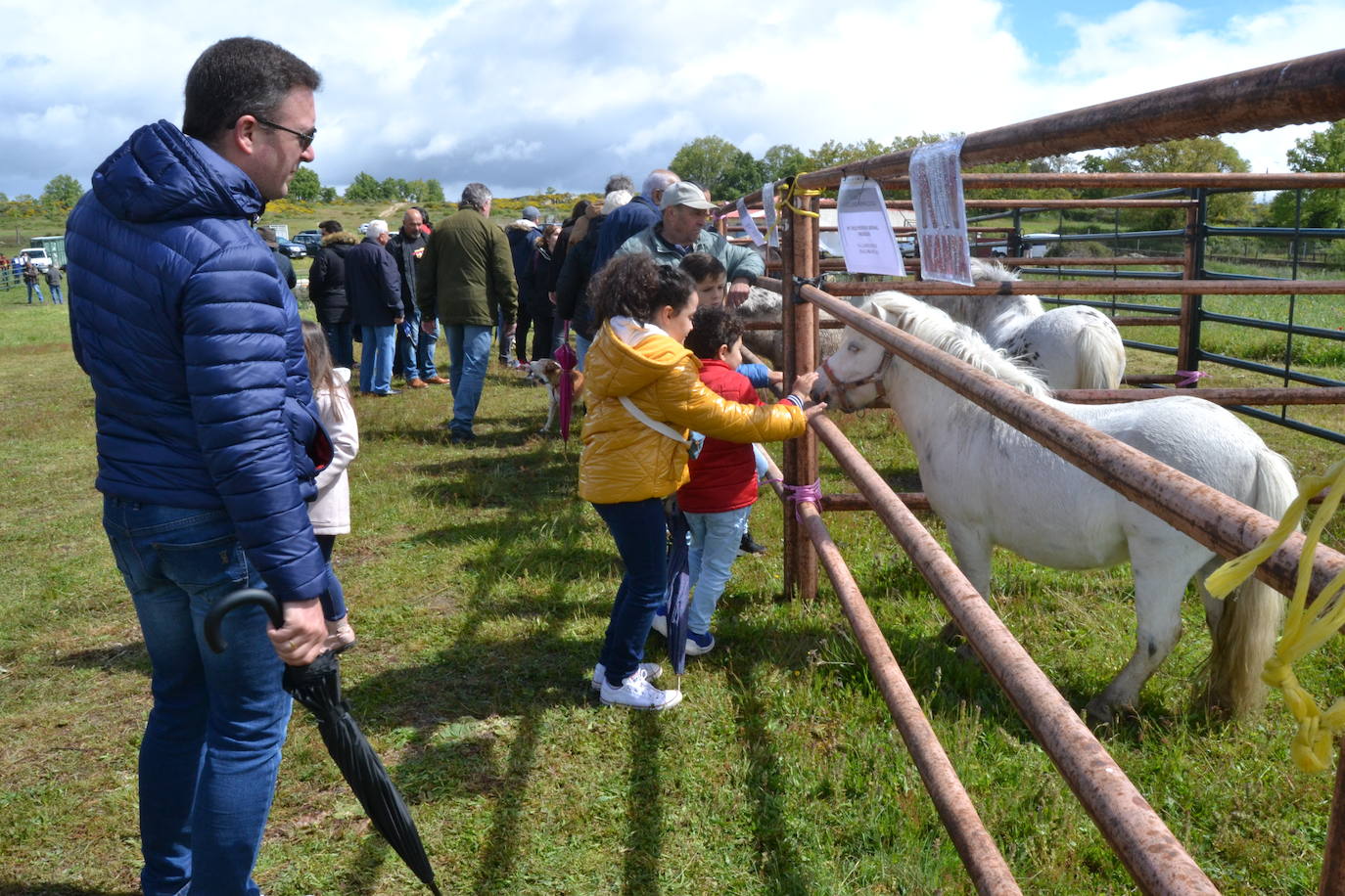 La Feria de San Felipe se impone a la lluvia en Barruecopardo