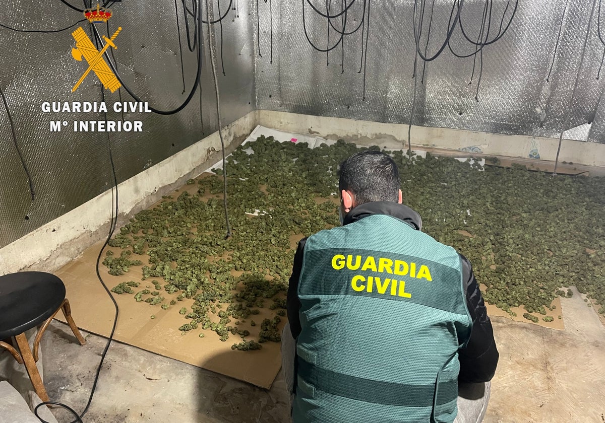 Un agente de la Guardia Civil en un momento de la operación 'Santgorjo'.