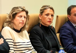 María José Coca, concejala de Medio Ambiente en el Ayuntamiento de Salamanca durante el pleno de este viernes.