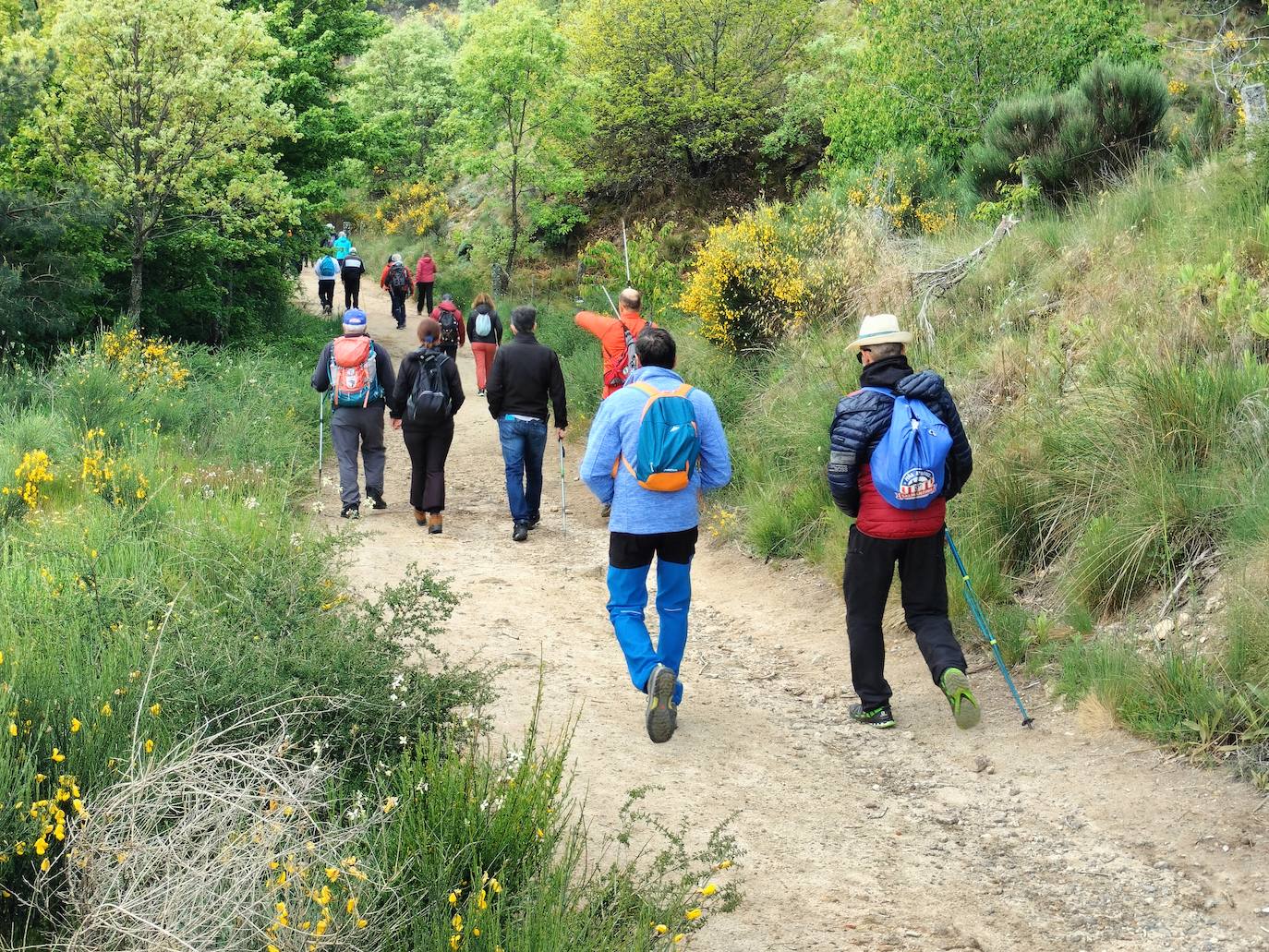 La marcha de los limones despide las ferias de mayo de Béjar