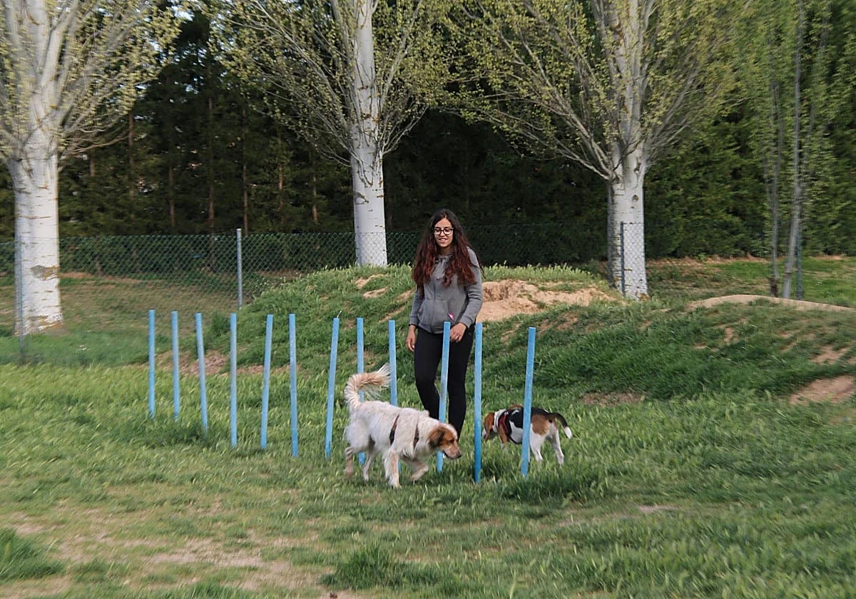 Una vecina de Carbajosa jugando con sus perros en el parque canino.