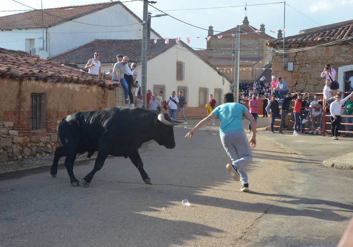 Un mozo efectúa un recorte durante un encierro. fotos: