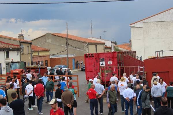 Un toro de San Isidro muy entretenido en Cantalpino