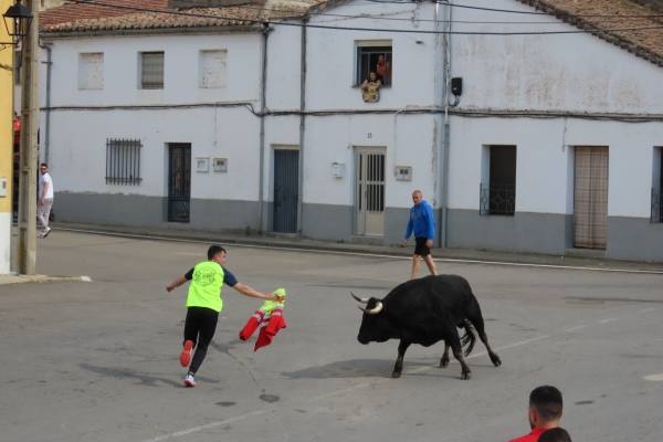 Un toro de San Isidro muy entretenido en Cantalpino