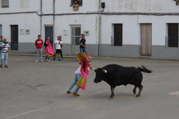 Un toro de San Isidro muy entretenido en Cantalpino