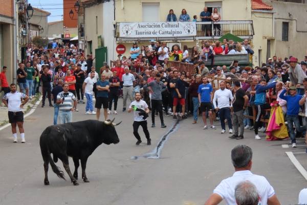 Un toro de San Isidro muy entretenido en Cantalpino