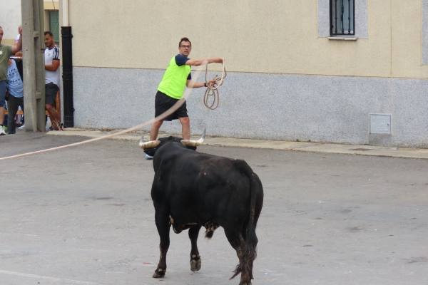 Un toro de San Isidro muy entretenido en Cantalpino