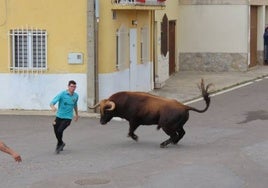 Un toro de San Isidro muy entretenido en Cantalpino