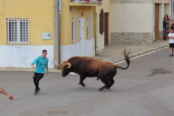 Un toro de San Isidro muy entretenido en Cantalpino