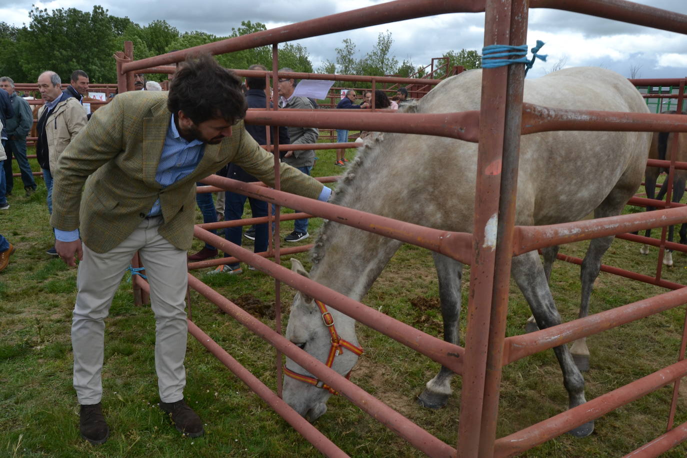 Ambiente de feria en Lumbrales con motivo de San Isidro