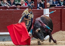 Excelente muletazo de inicio de faena de Manzanares al segundo de la tarde en Las Ventas.