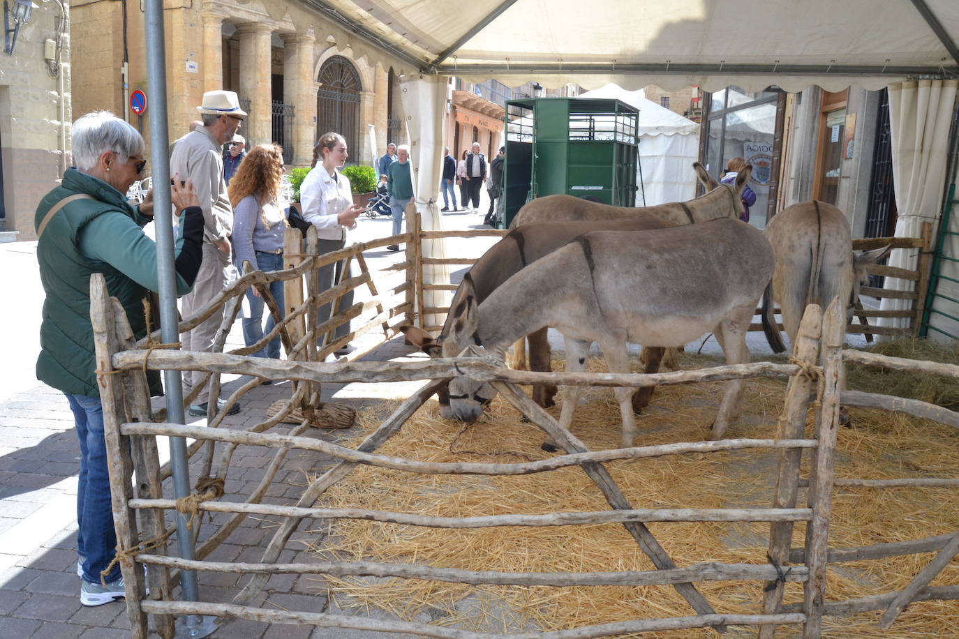 La feria más farinata de Ciudad Rodrigo