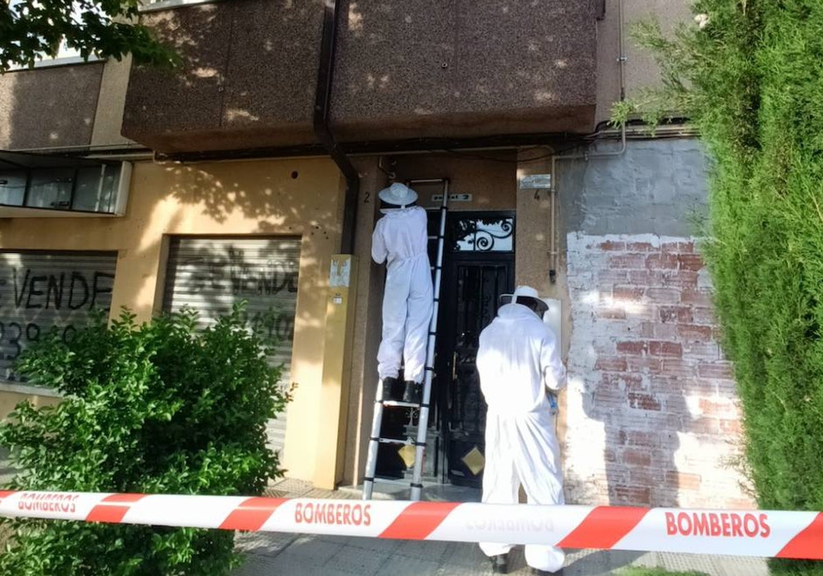 Dos bomberos retiran un enjambre de la calle Fuenteguinaldo.