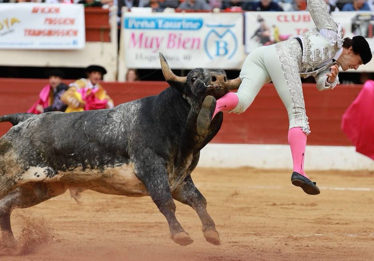 Momento de la cornada sufrida por Román esta tarde en Vic Fezensac.