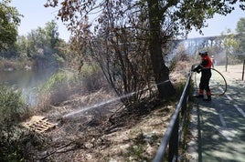 Imagen del incendio declarado en el paseo fluvial.