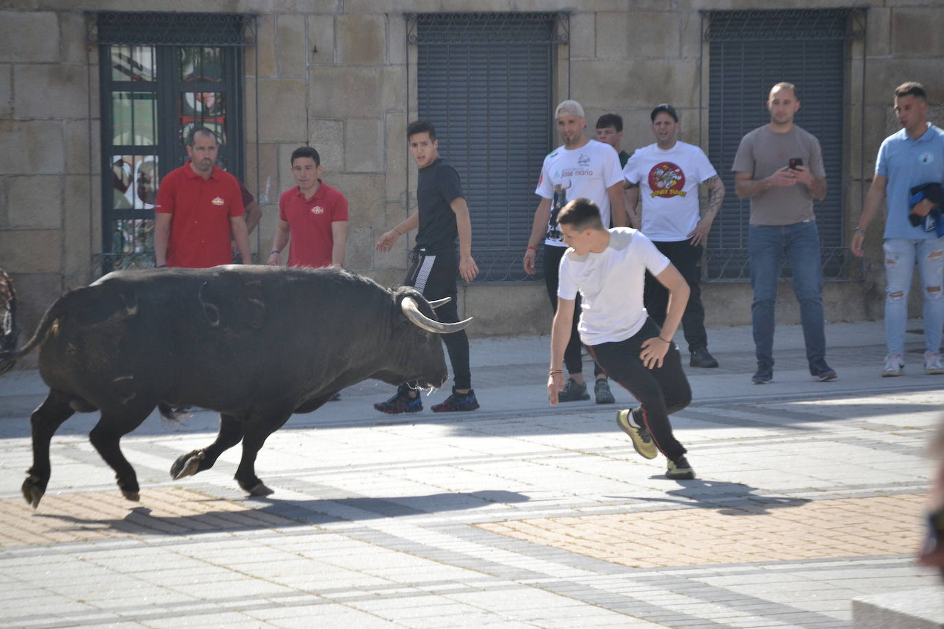 Vitigudino vibra con el Toro de Cajón