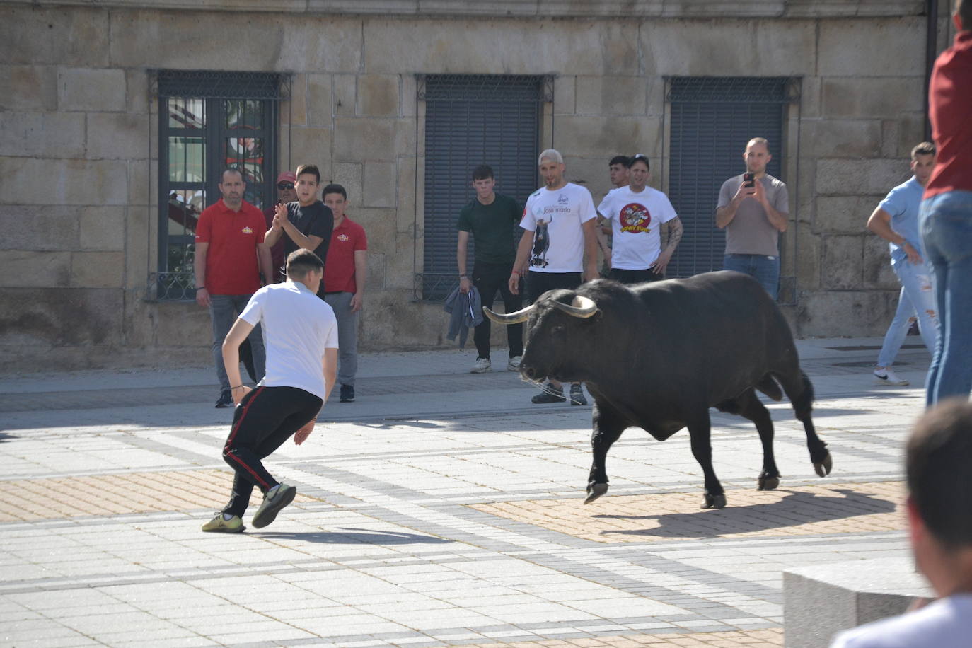 Vitigudino vibra con el Toro de Cajón