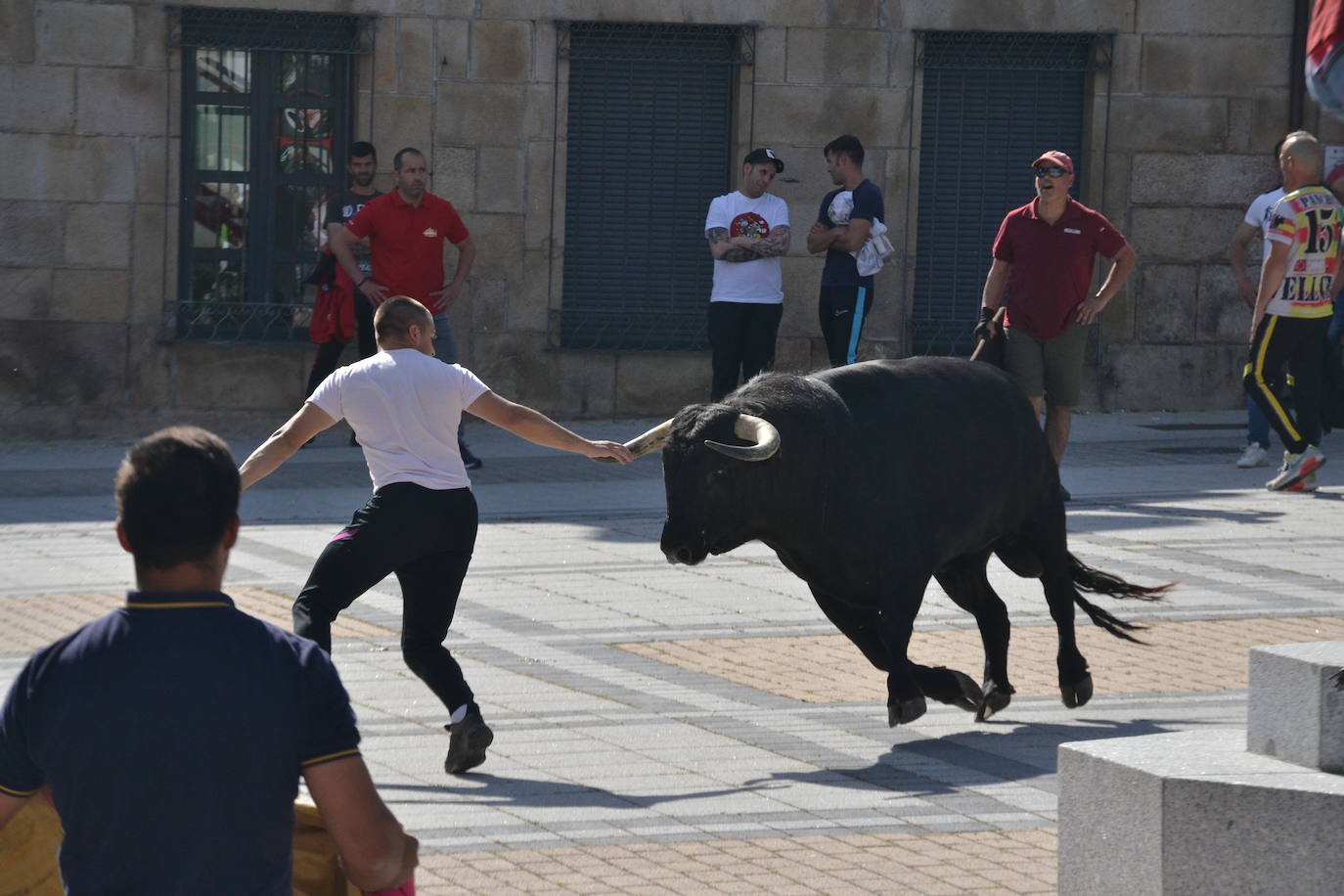 Vitigudino vibra con el Toro de Cajón