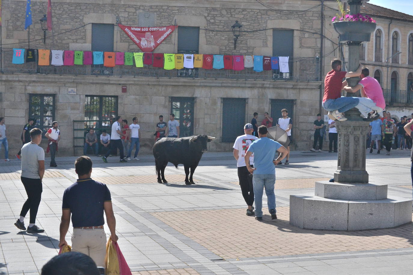 Vitigudino vibra con el Toro de Cajón