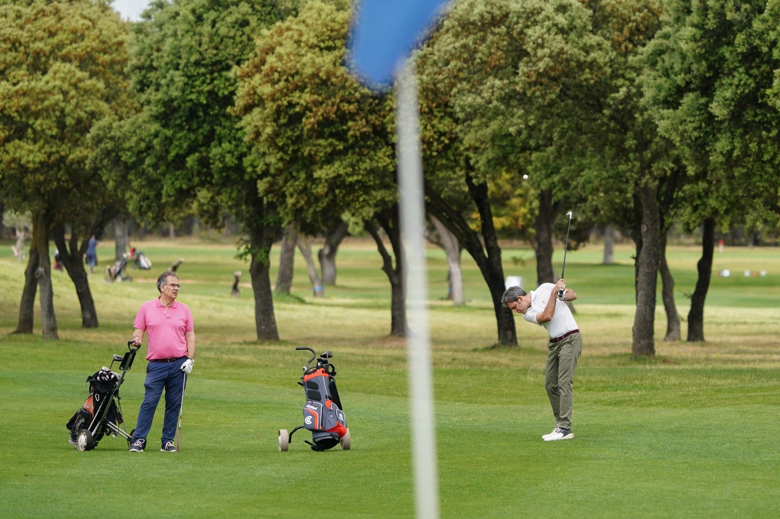 Mucho golf en la última jornada del Torneo de LA GACETA