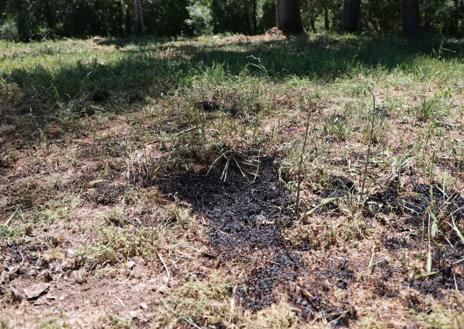 Imagen secundaria 1 - Los Bomberos intervienen en dos fuegos en la carretera de Aldealengua y en La Aldehuela