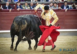 Molinete de Talavante al excelente Rebeco de Juan Pedro Domecq, que pesó ¡670 kilos!.
