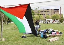 Imagen de la acampada en el campus.