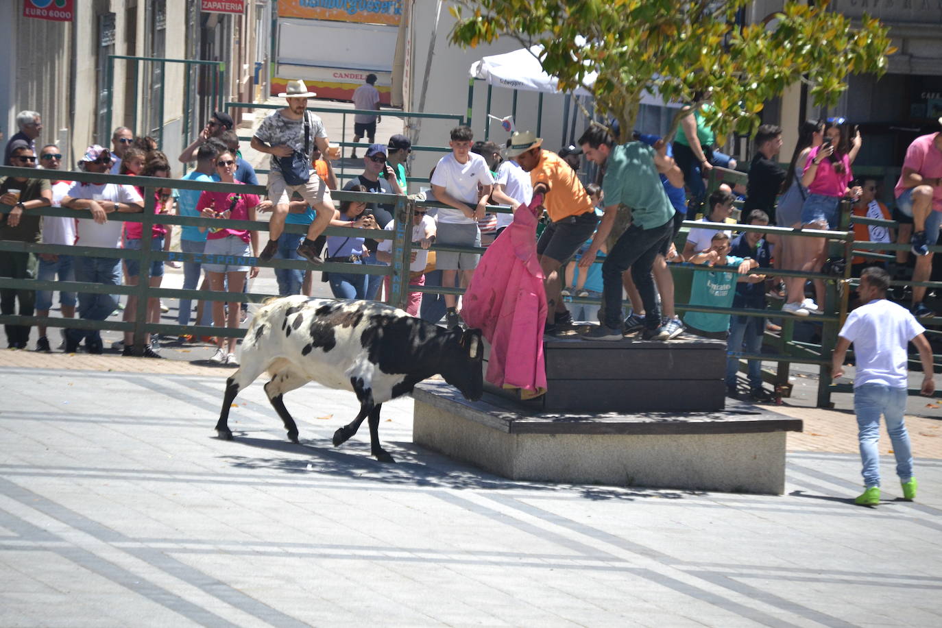 Divertido primer encierro en Vitigudino