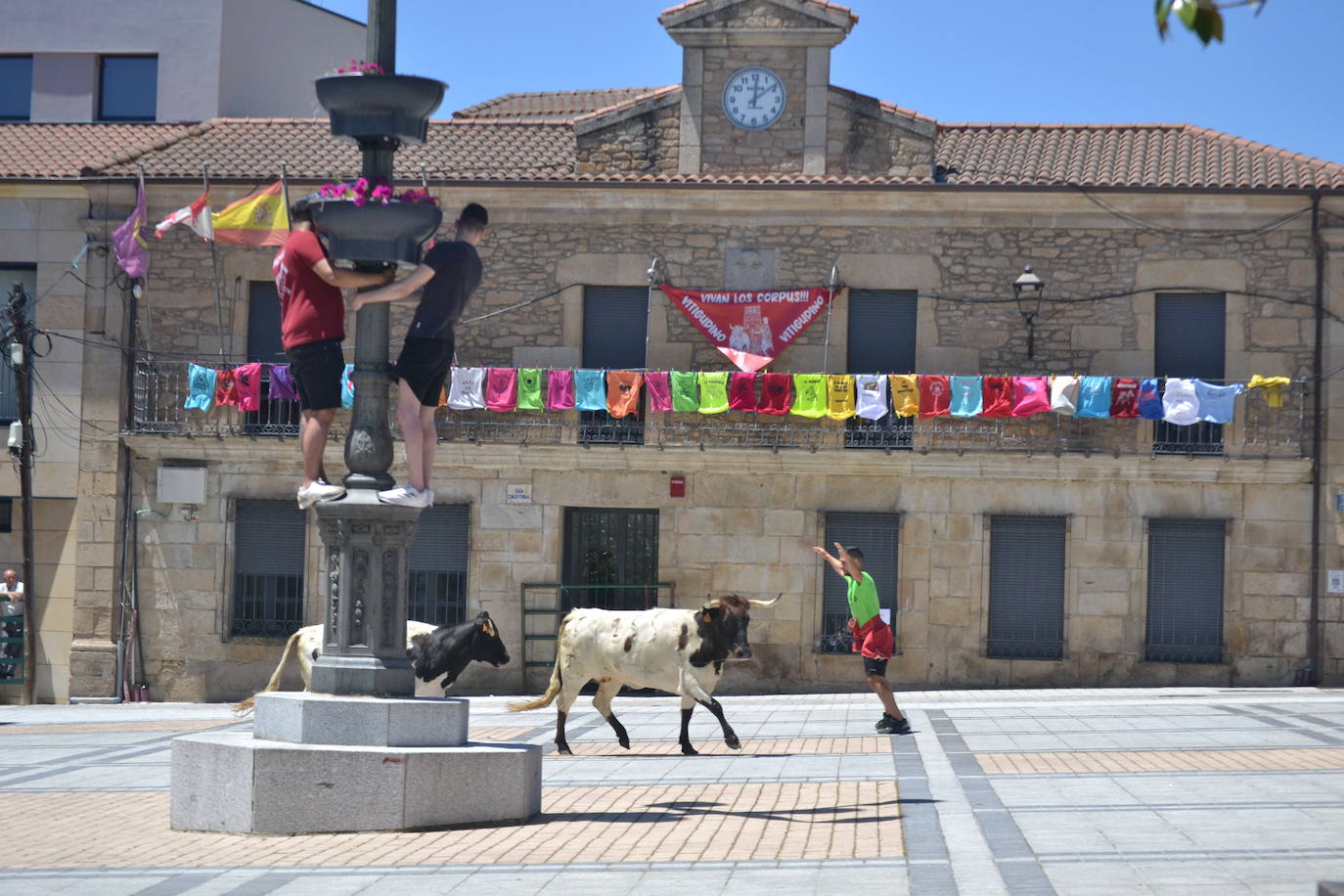 Divertido primer encierro en Vitigudino