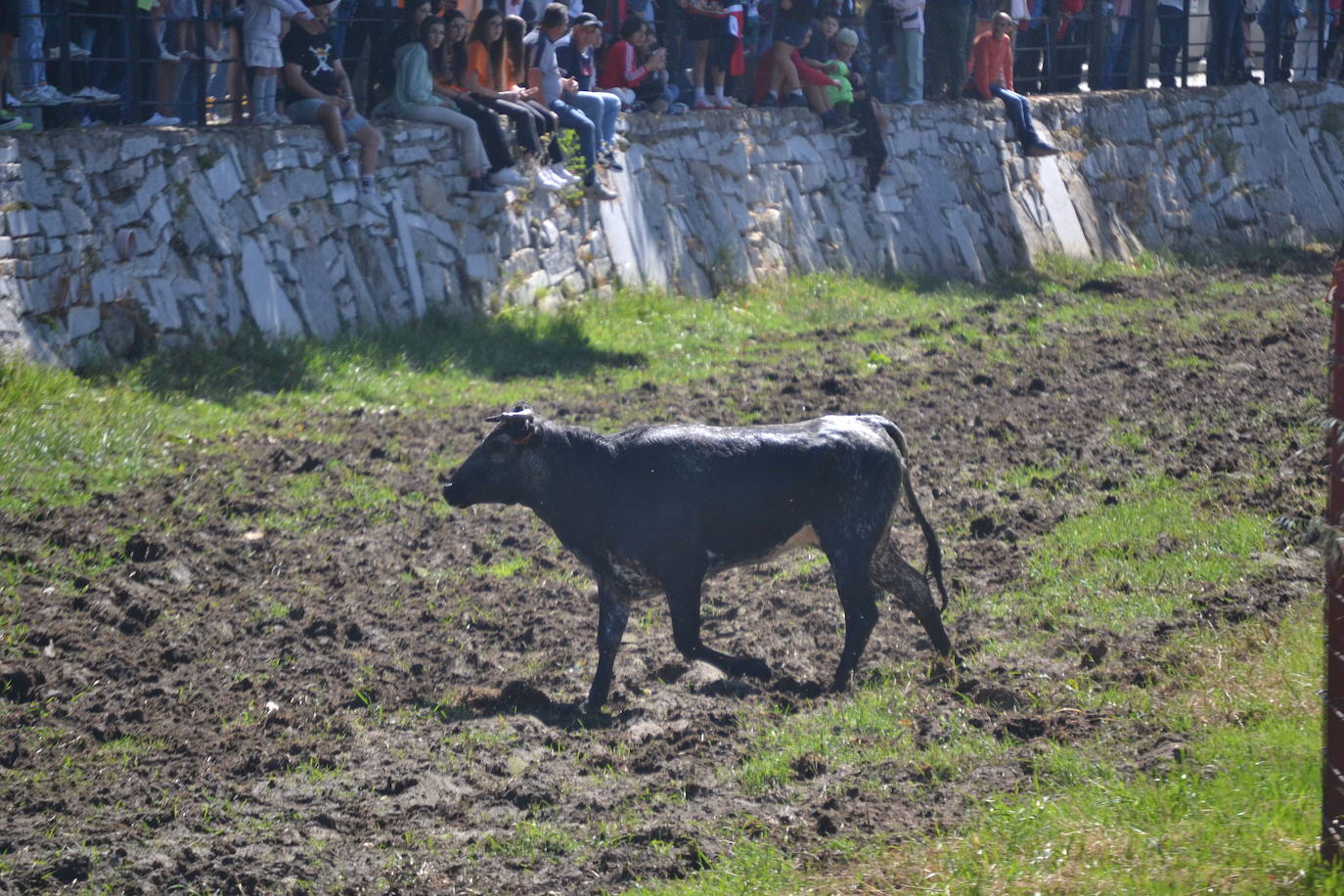 Sancti Spíritus al galope en su primer encierro de Corpus