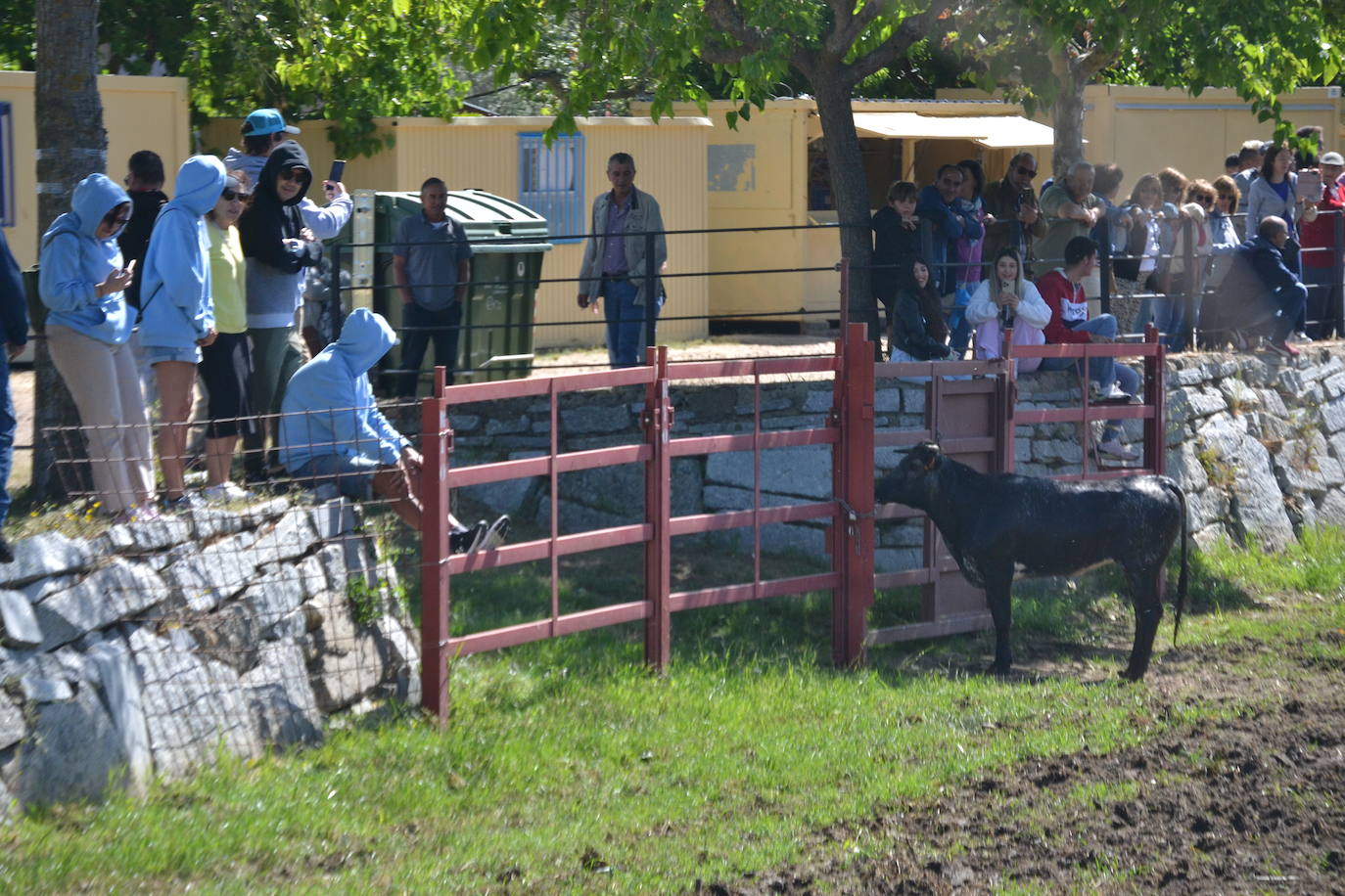 Sancti Spíritus al galope en su primer encierro de Corpus