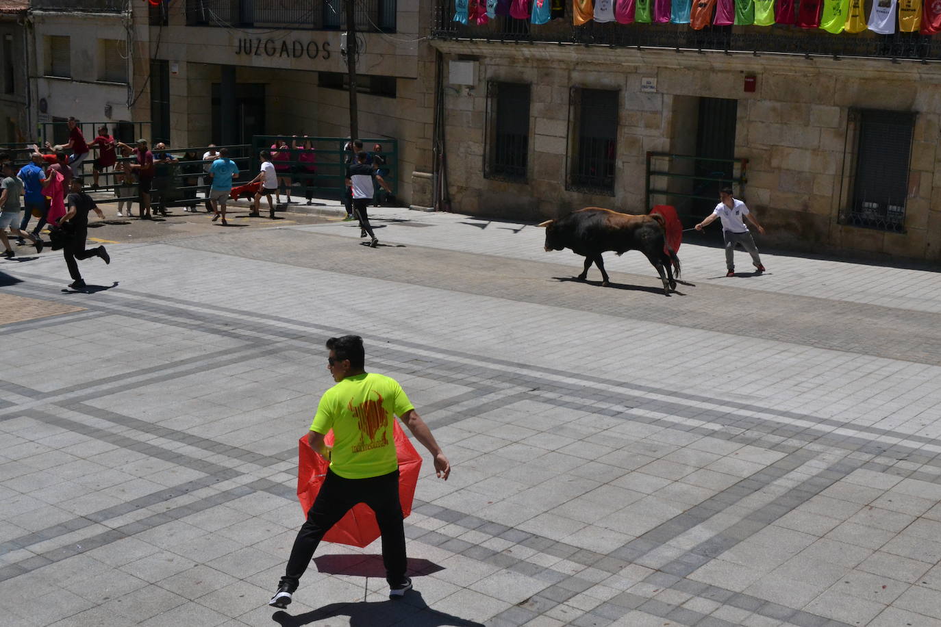 Bravura y entrega en el encierro de Vitigudino