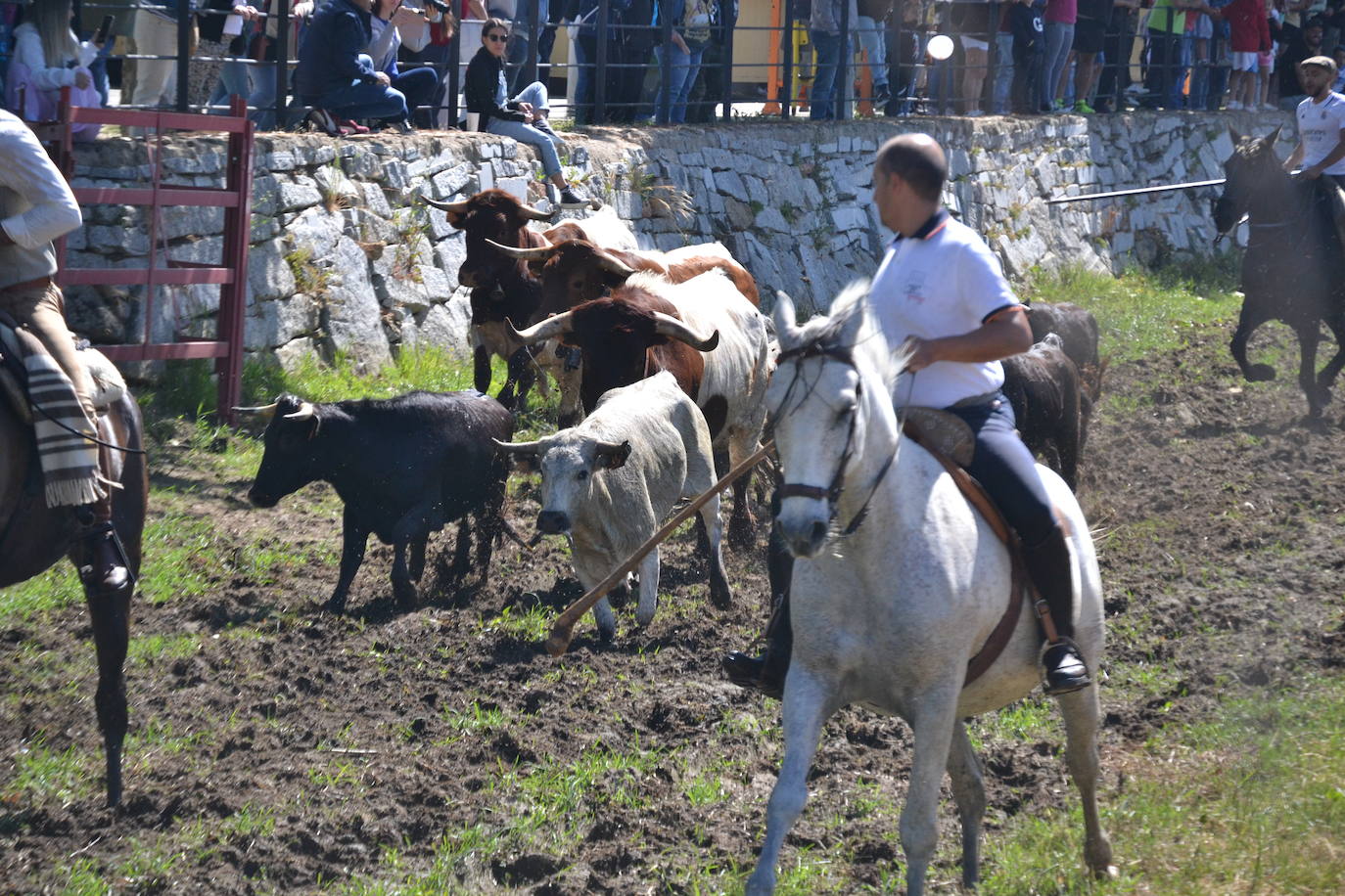 Sancti Spíritus al galope en su primer encierro de Corpus