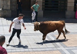 Un mozo recorta a la res en la Plaza de España