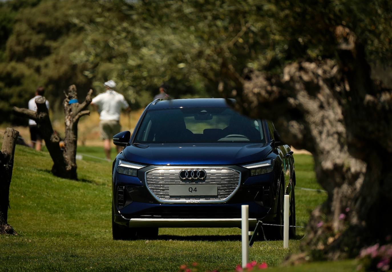 Gran día de Helmántica Audi en La Valmuza