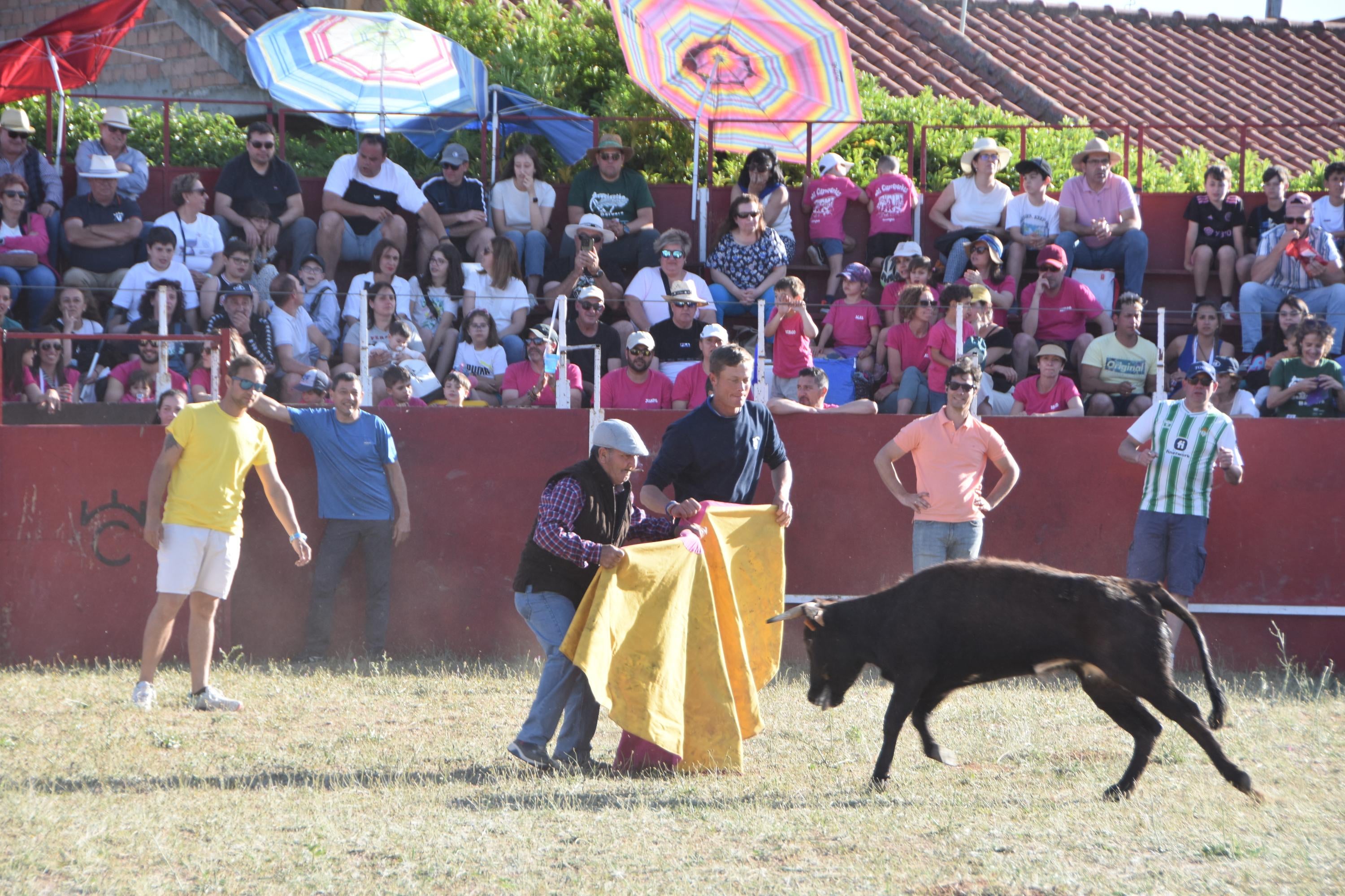 Grand Prix de risas y diversión en Aldeatejada